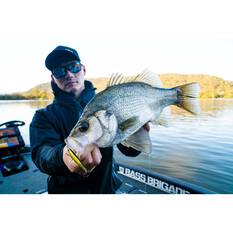 Daiwa Infeet Sazanami Hard Body Lure 60mm Ghost Wakasagi, Ghost Wakasagi, bcf_hi-res