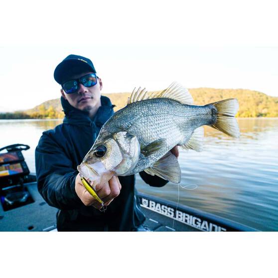 Daiwa Infeet Sazanami Hard Body Lure 60mm Ghost Wakasagi, Ghost Wakasagi, bcf_hi-res