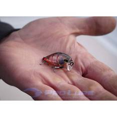 Pro Lure Crank D Hardbody Lure 36mm Mangrove Shrimp, Mangrove Shrimp, bcf_hi-res