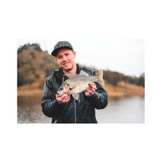 Daiwa Bait Junkie 2X Jig Heads, , bcf_hi-res