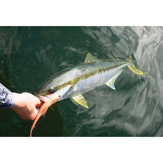 Berkley Gulp! Jerk Shad Soft Plastic Lure 7in Flamingo Flash, , bcf_hi-res