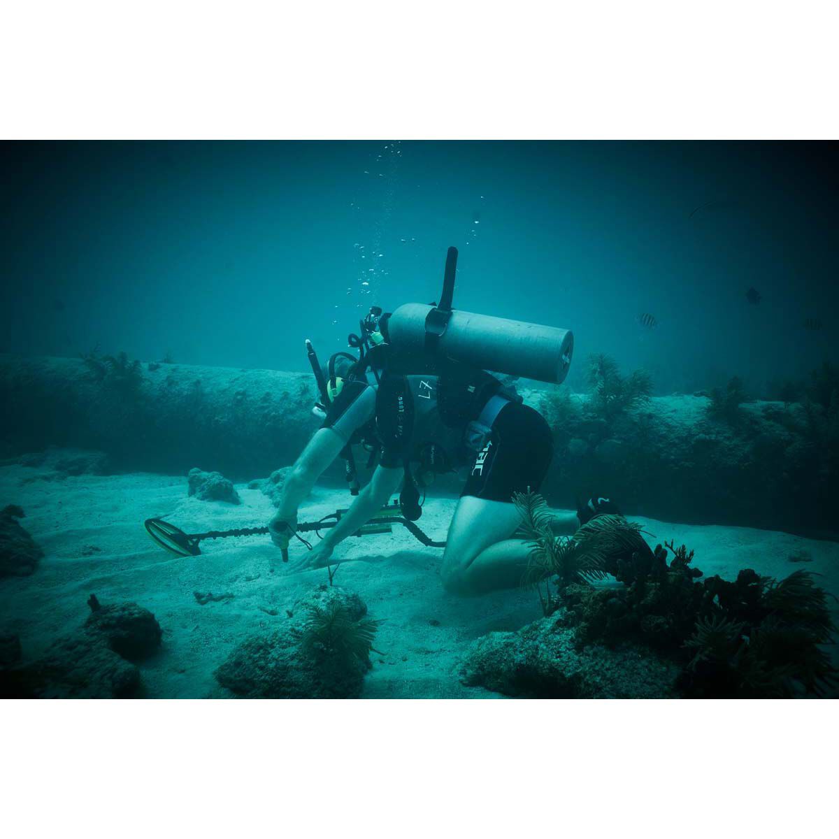 Minelab Pro-Find 35 Pinpointer, , bcf_hi-res