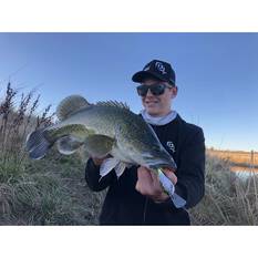 13 Fishing Jabber Jaw Deep Crankbait Lure 2.3in Citrus Shad, Citrus Shad, bcf_hi-res