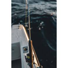 Daiwa Saltist 23 Spinning Rod, , bcf_hi-res