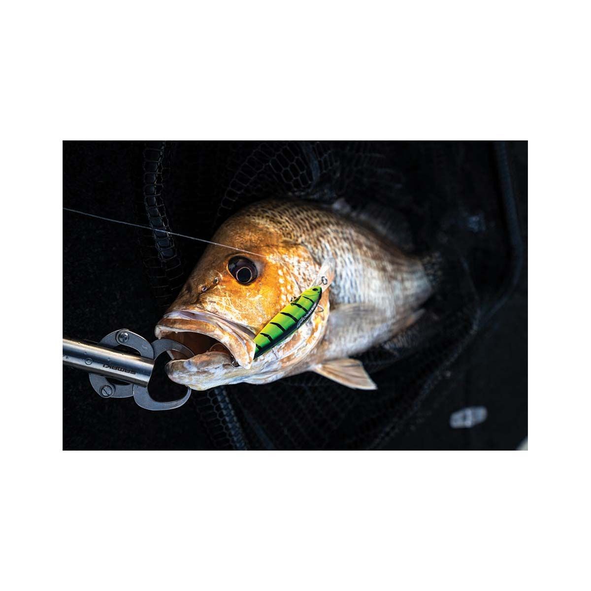 Samaki Stainless Steel Lip Grip 12In 30lb, , bcf_hi-res