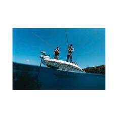 Lowrance Recon™ Saltwater 72” Trolling Motor, , bcf_hi-res