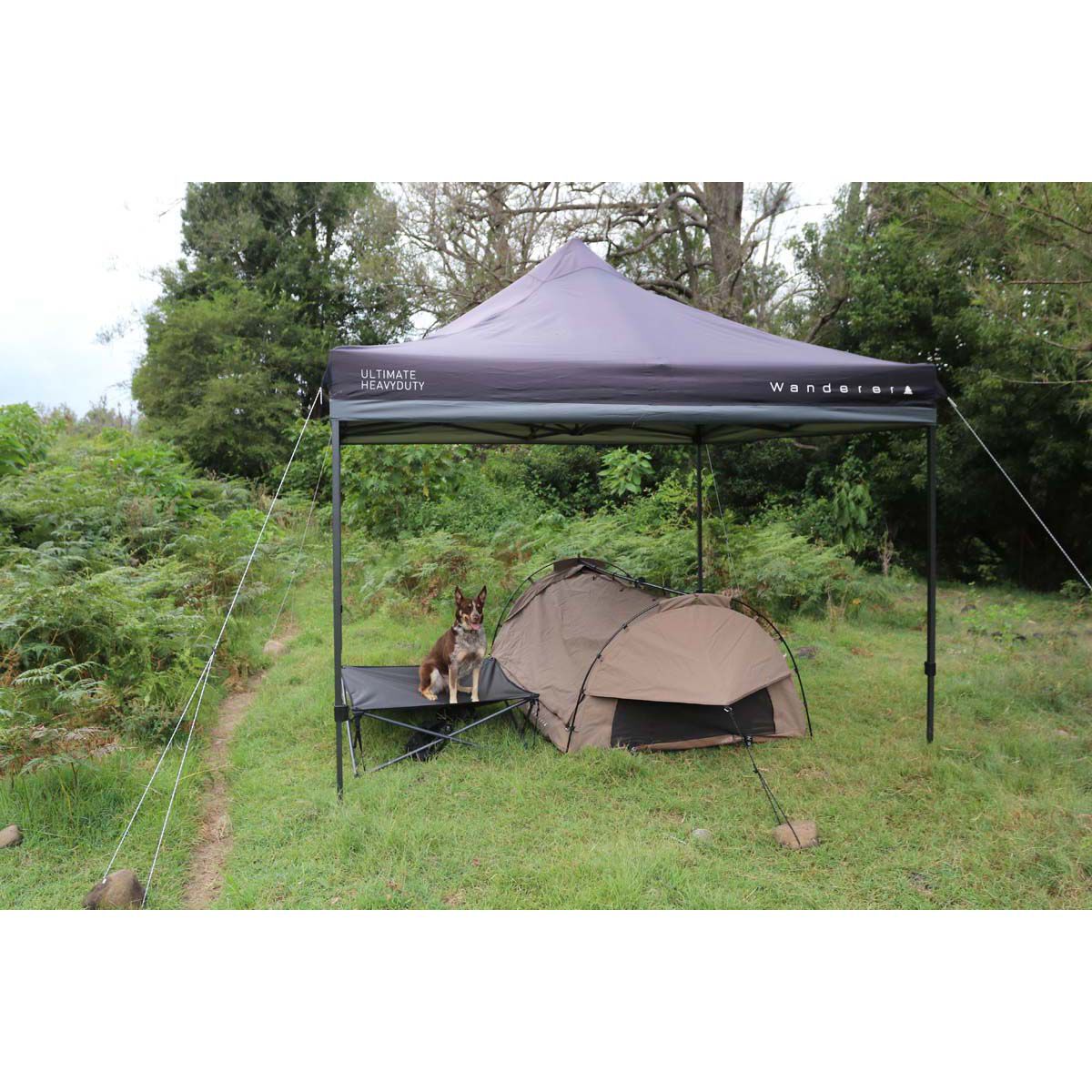 Wanderer Pets Large Quad Fold Dog Bed, , bcf_hi-res