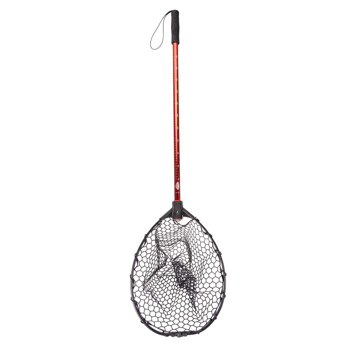 Berkley Catch N Release Folding Landing Net, , bcf_hi-res