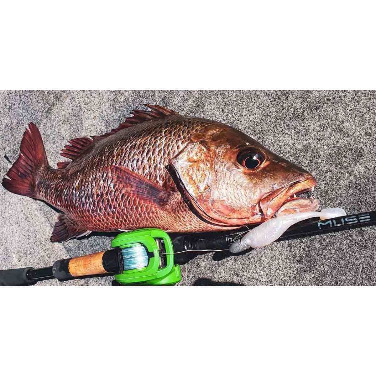 Rapala CrushCity Heavy Hitter Soft Plastic Lure 4in Pearl Watermelon, Pearl Watermelon, bcf_hi-res