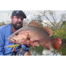 MMD Splash Prawn Surface Lure 70mm SS, SS, bcf_hi-res