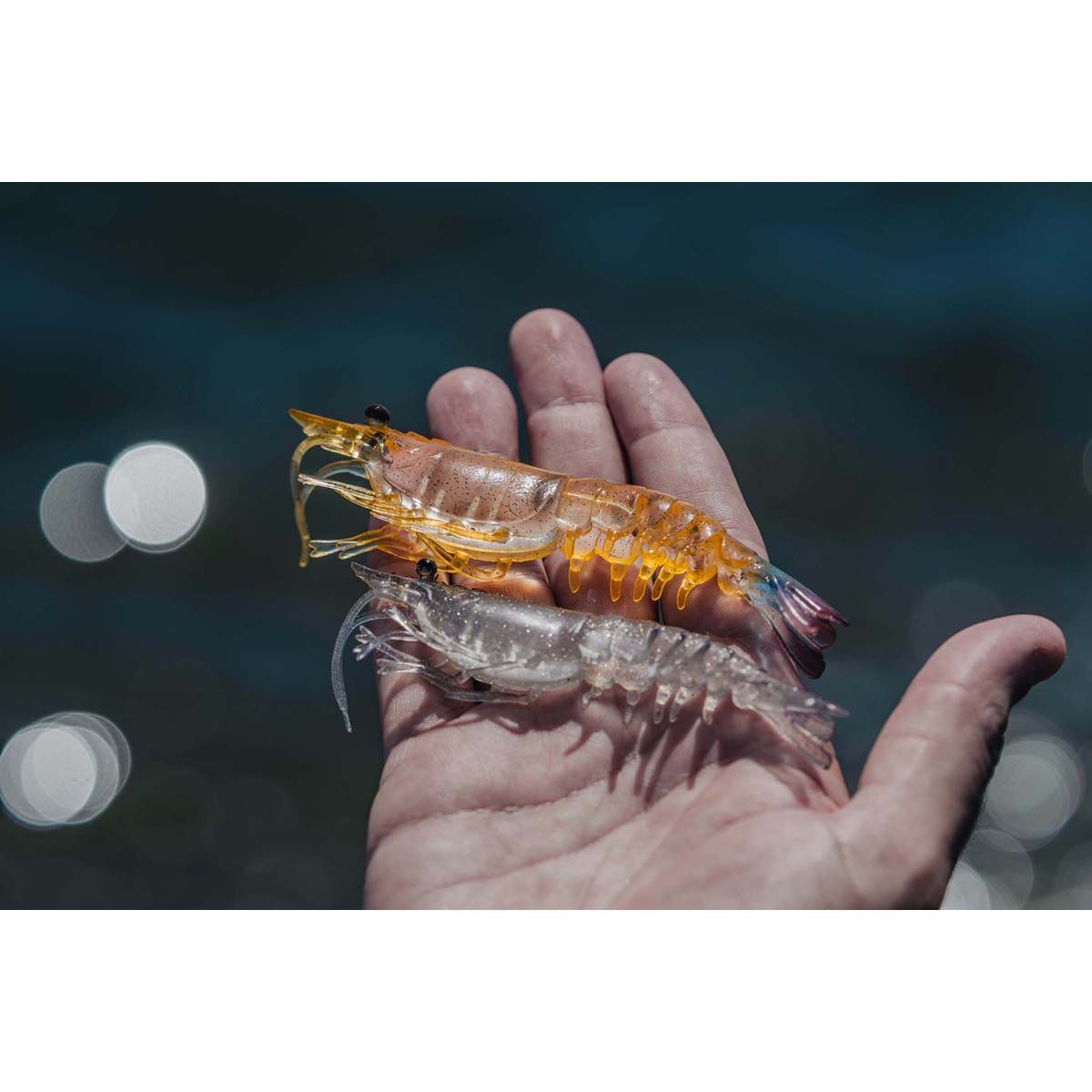 Nomad Live Ops Switcher Shrimp Soft Plastic Lure 3.5in Gold Bullet UV, Gold Bullet UV, bcf_hi-res