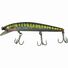 Slimy Mackerel