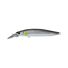 Baitfish