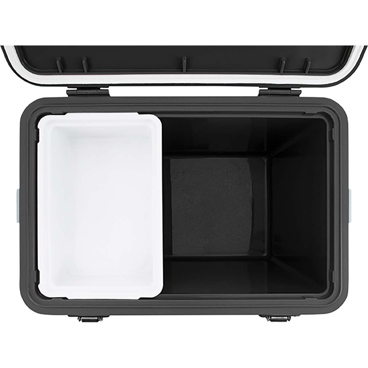Bcf 2025 cooler box