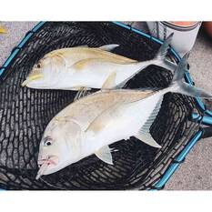 Rapala CrushCity Jerk Soft Plastic Lure 3.75in White Bait, White Bait, bcf_hi-res