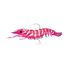 Hyper Pink