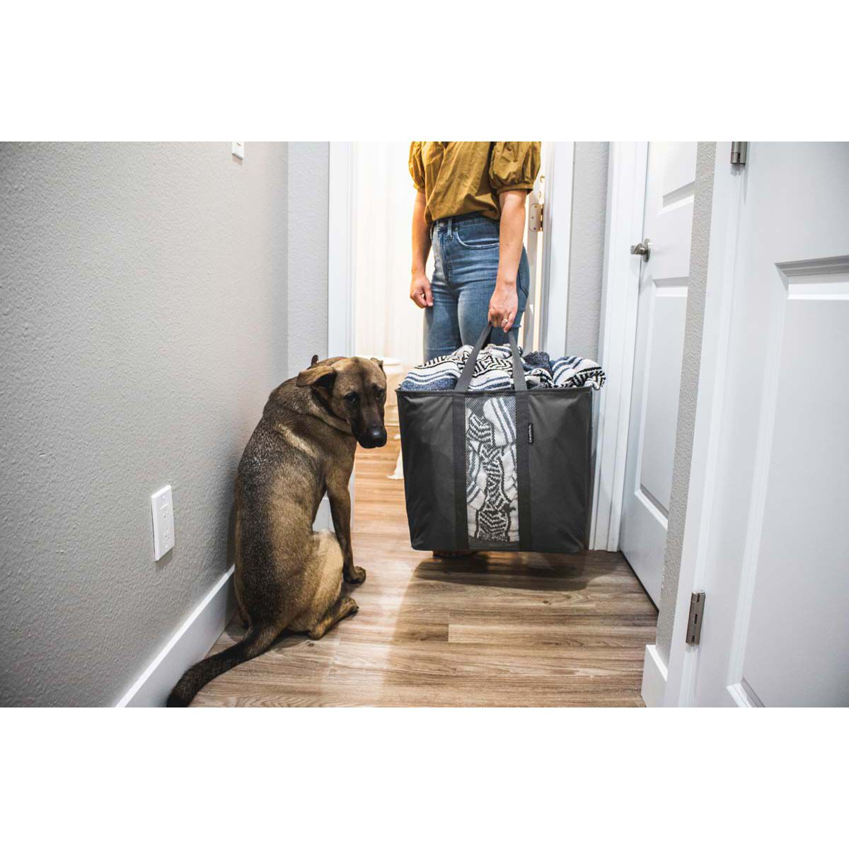 Clevermade Collapsible Laundry Caddy, , bcf_hi-res