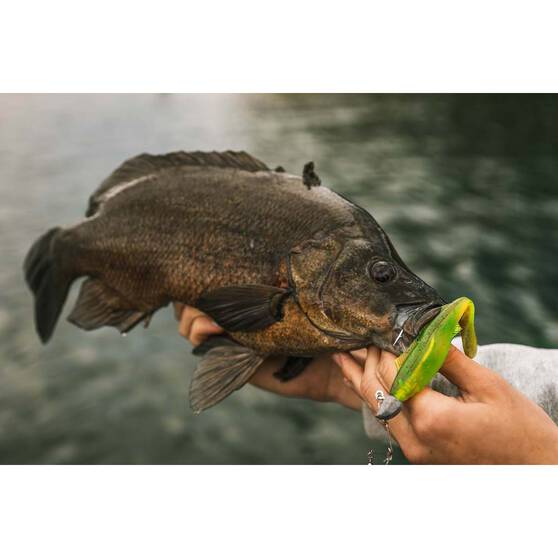 Berkley PowerBait Nemesis Paddle Tail Soft Plastic Lure 4in Bleak, Bleak, bcf_hi-res