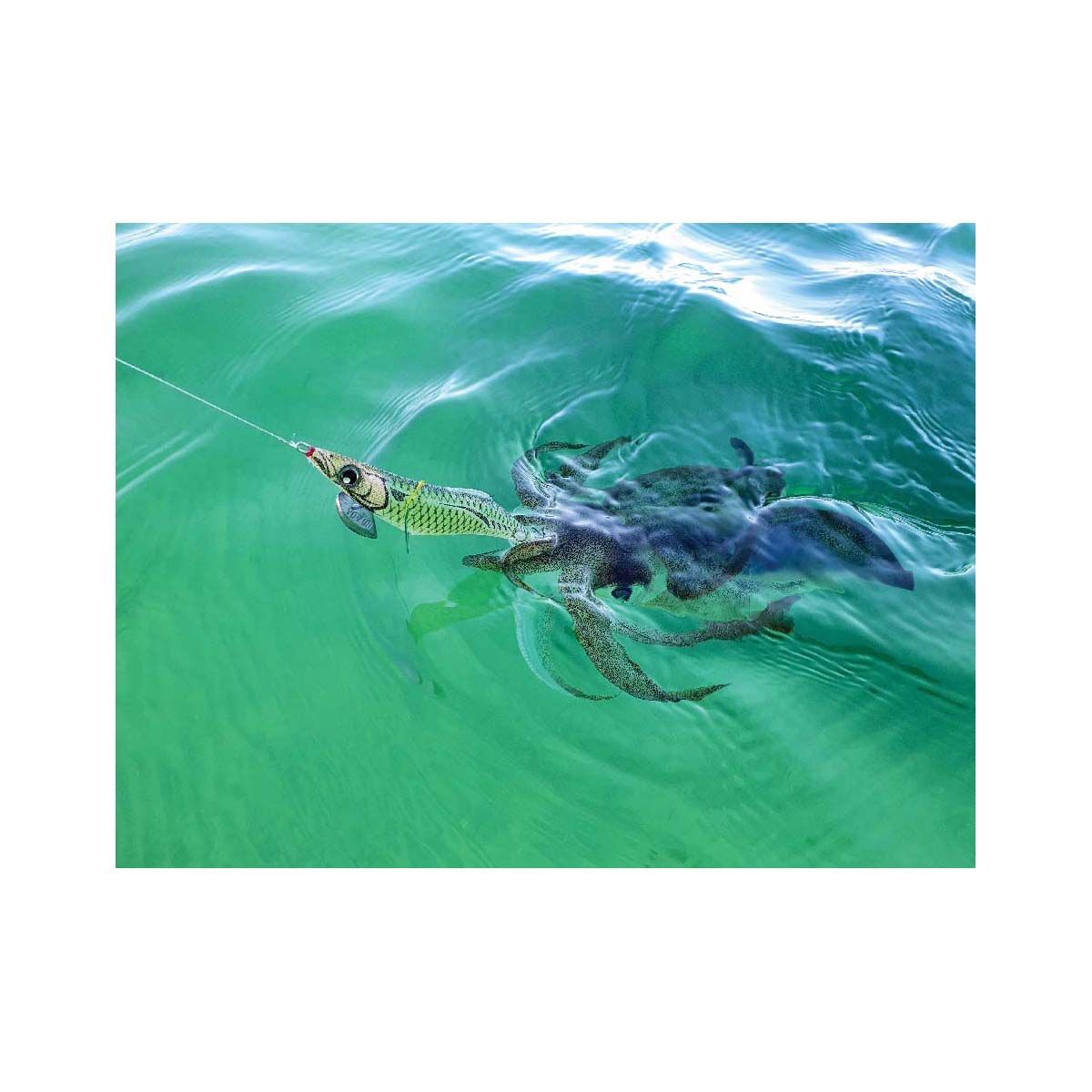 Yo-Zuri Aurie Q Cloth Wrapped Squid Jig 3.0 BLRR, BLRR, bcf_hi-res