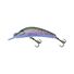 Rainbow Trout