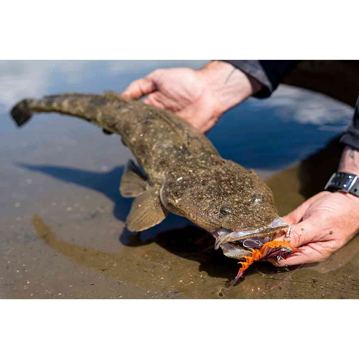 Berkley Shimma Shrimp Soft Vibe Lure 65mm Pink Shrimp, Pink Shrimp, bcf_hi-res