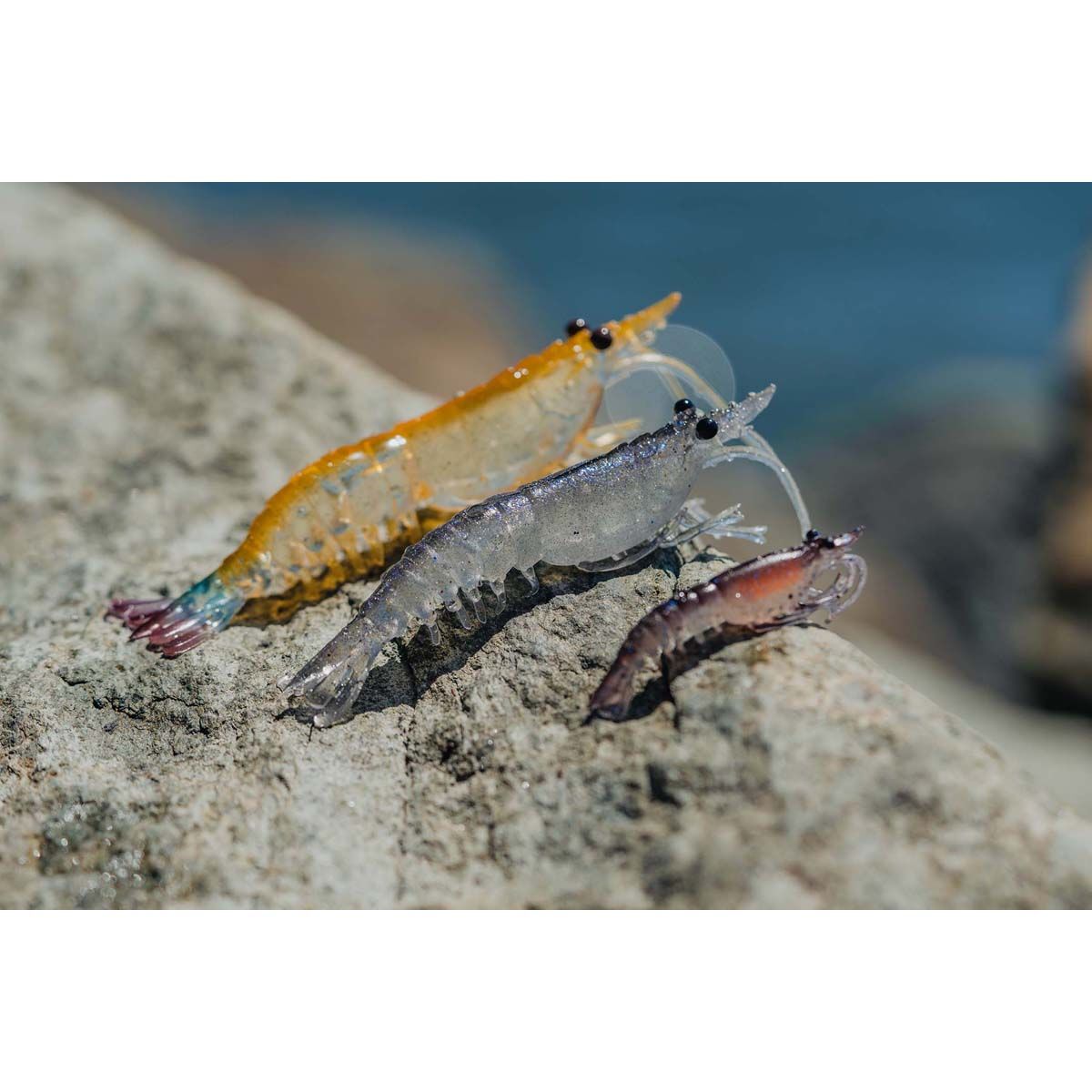 Nomad Live Ops Switcher Shrimp Soft Plastic Lure 3.5in Ultra UV, Ultra UV, bcf_hi-res