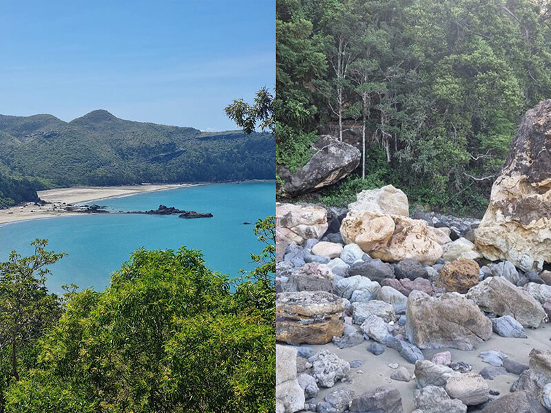 Andrews Point Track, Cape Hillsborough National Park