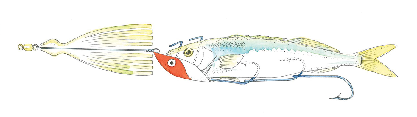 Mackerel trolling tips