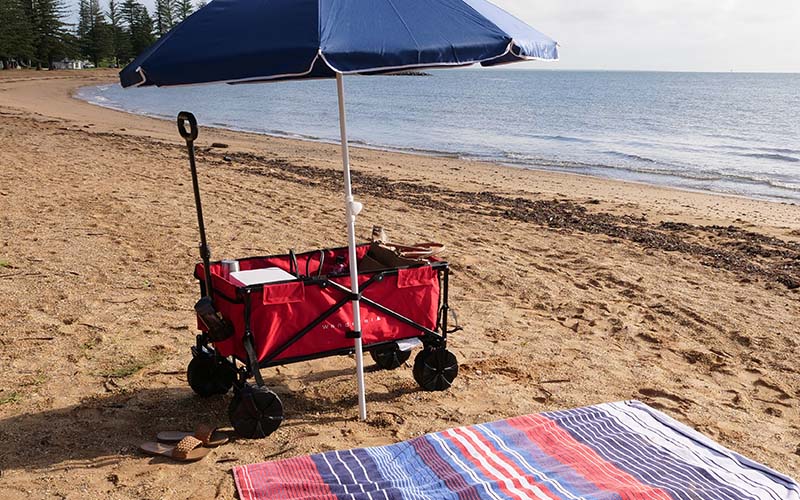 Beach Cart