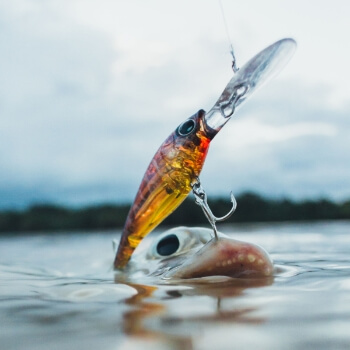 Fishing Gear, Equipment & Accessories Online Australia