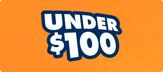 Gifts Under $100