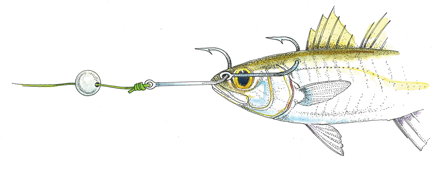 LIVE BAIT RIG LIVE BAIT RIG