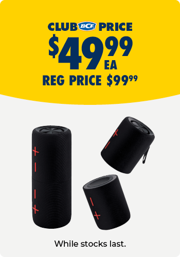 Blaupunkt Detachable Dual Wireless Speaker