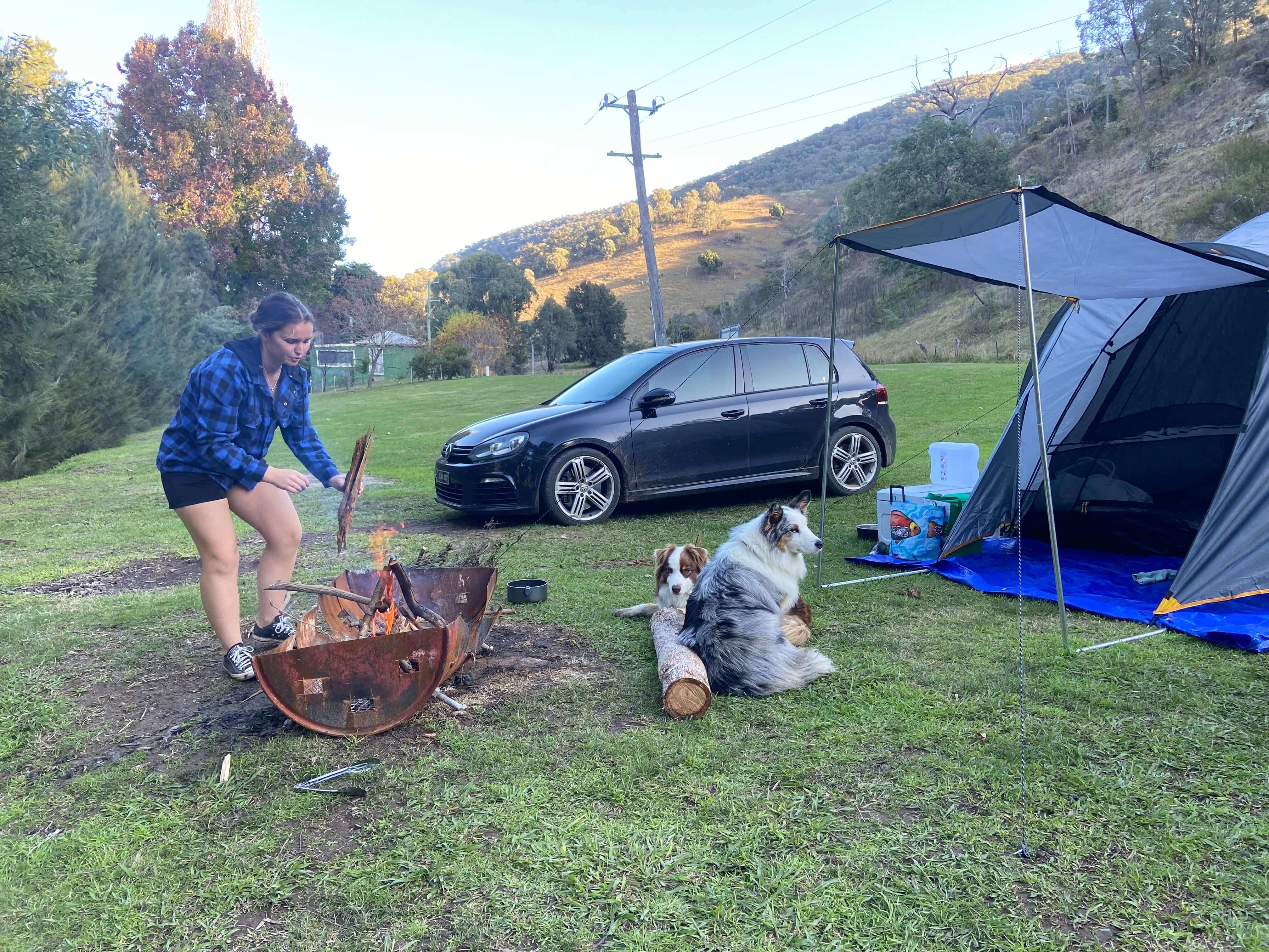 Tents like these are perfect for our furry friends Tents like these are perfect for our furry friends