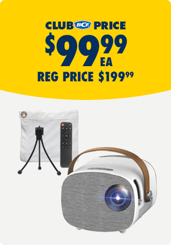 Wanderer Projector with Soft Screen