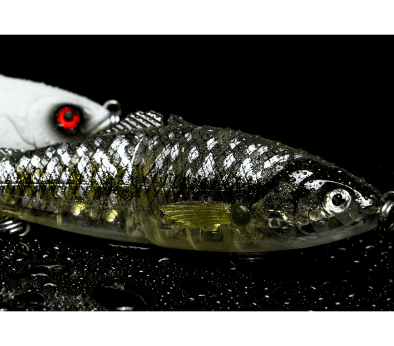 Fish Craft Fish Craft