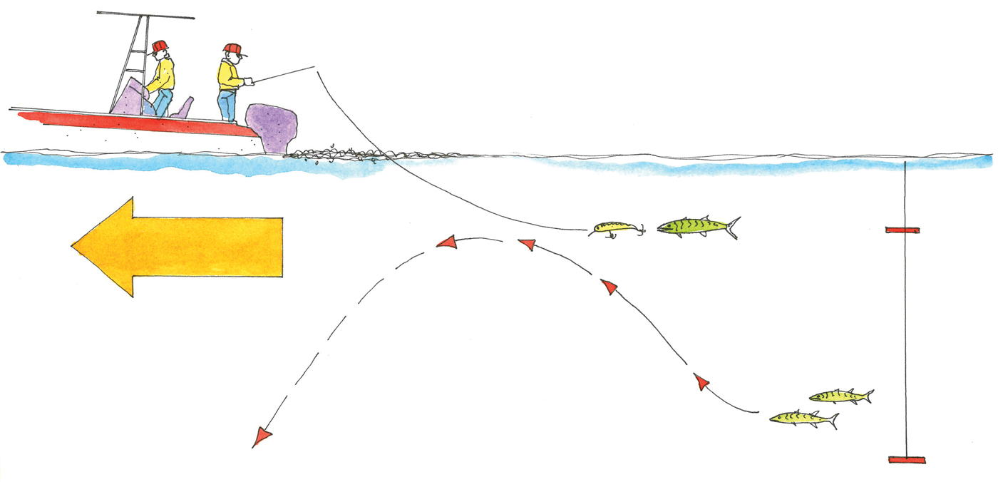 Mackerel trolling tips