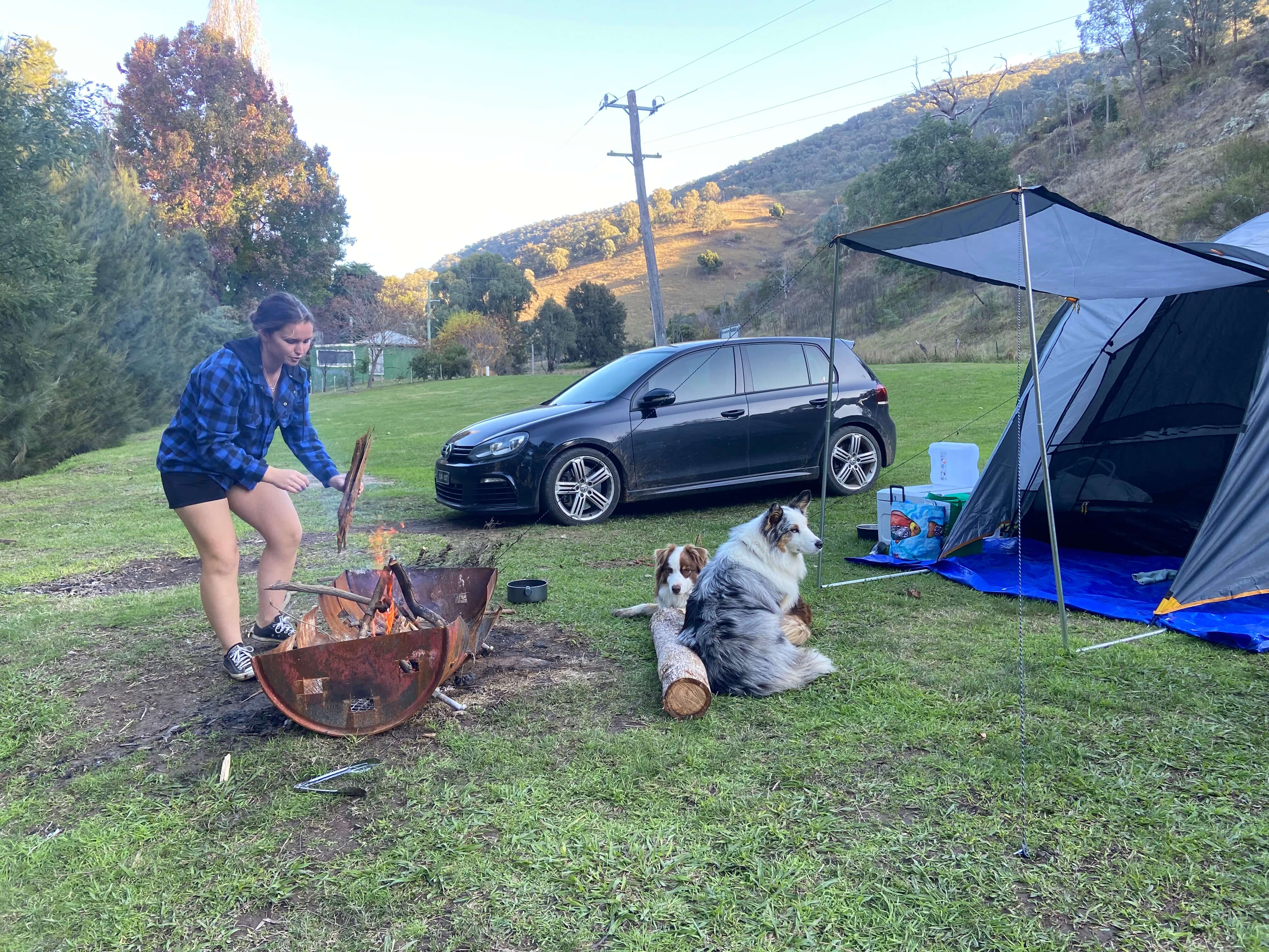 Tents like these are perfect for our furry friends