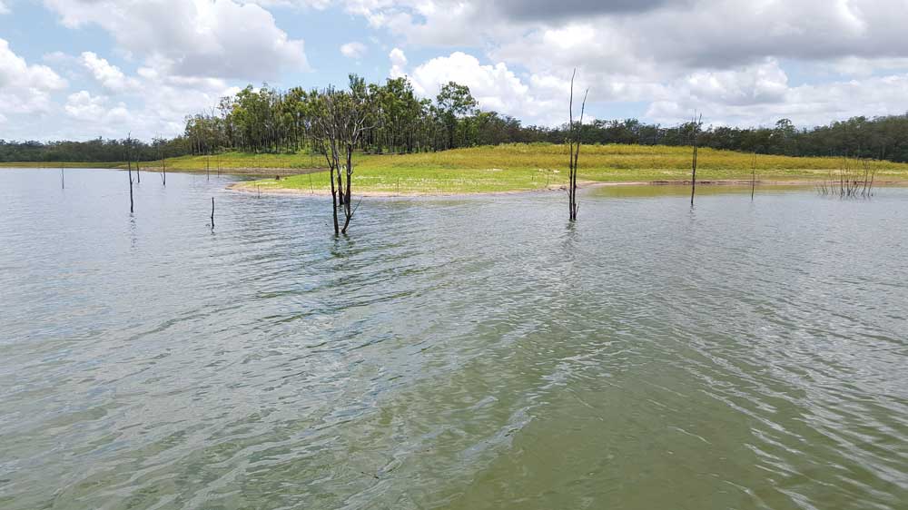 Shallow sandy points are the perfect place to fish at night