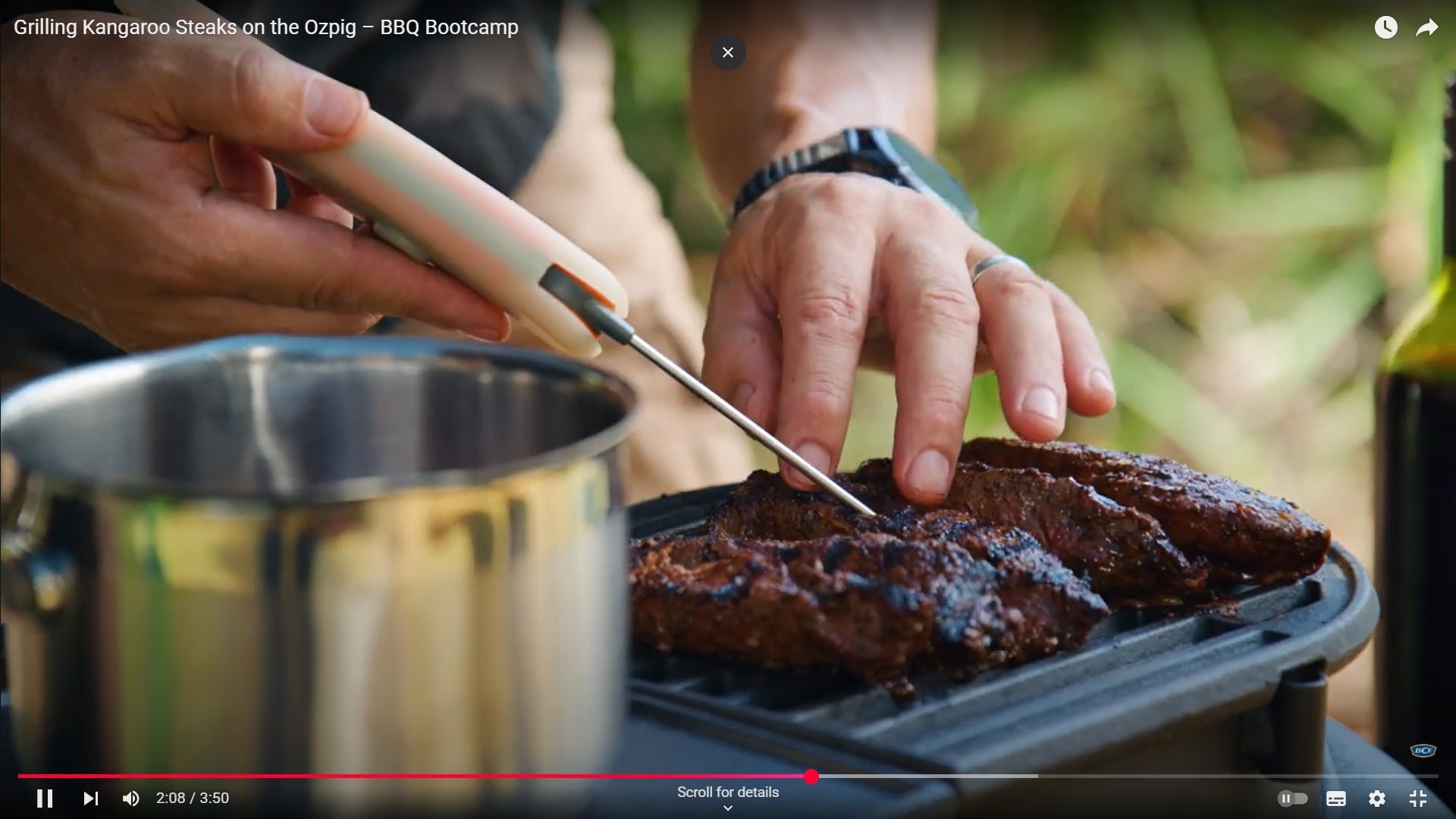 Kangaroo steaks cooking on the Ozpig grill