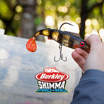 Shimma Pro-Rig