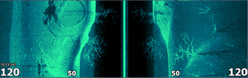 Sidescan View Sidescan View