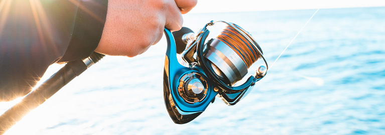 https://www.bcf.com.au/on/demandware.static/-/Library-Sites-bcf-shared-library/default/dw382592aa/images/blog/fishing/buyers-guide/choosing-the-right-spin-reel/choosing-the-right-spin-reel-BlogHero-M.jpg
