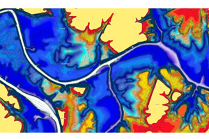 C-MAP® Enhanced Embedded