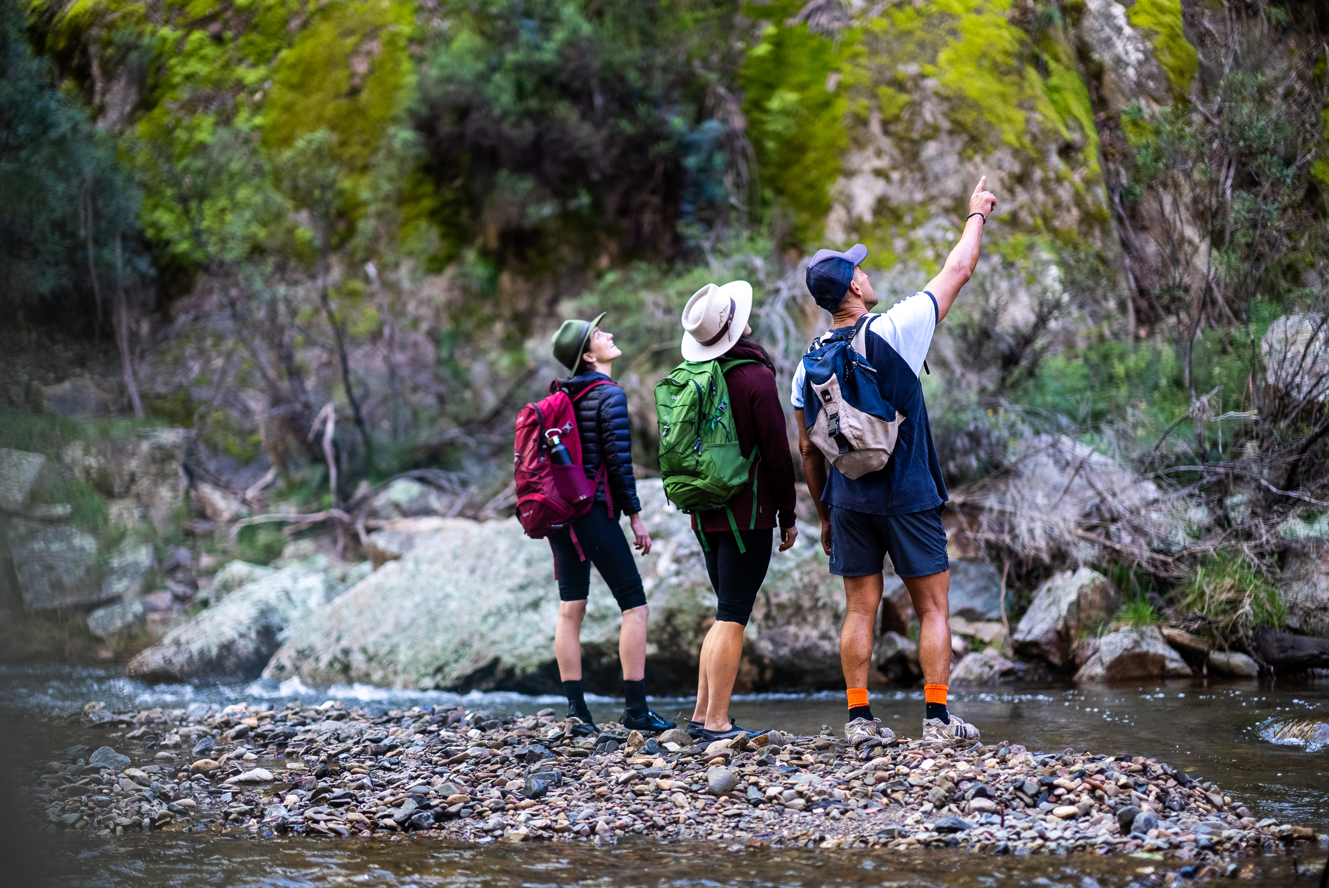 A 6-hour return hike to Box Creek Falls