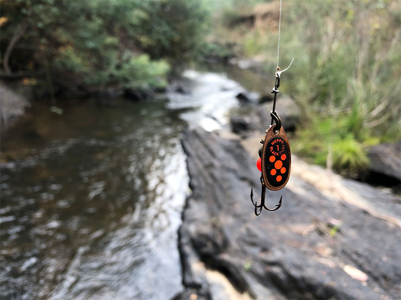 Mepps spinners and trout streams, a match made in heaven