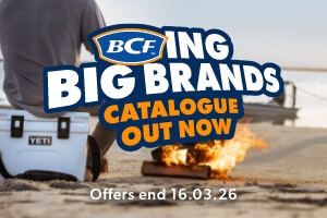 BCFing Big Brands