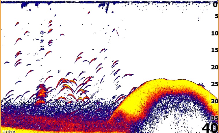 Autotuning Sonar