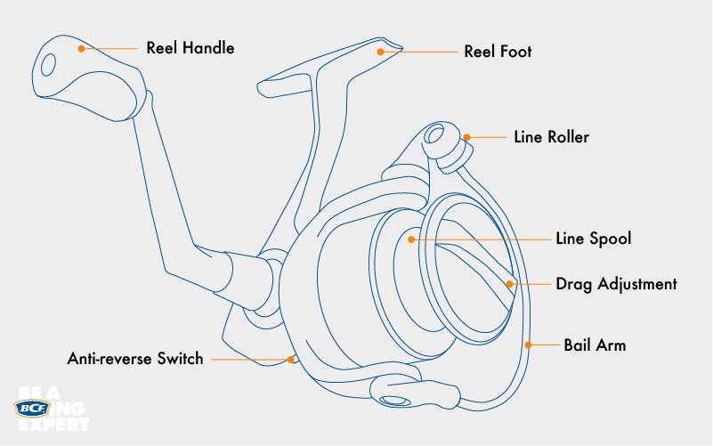 How to choose a spinning reel