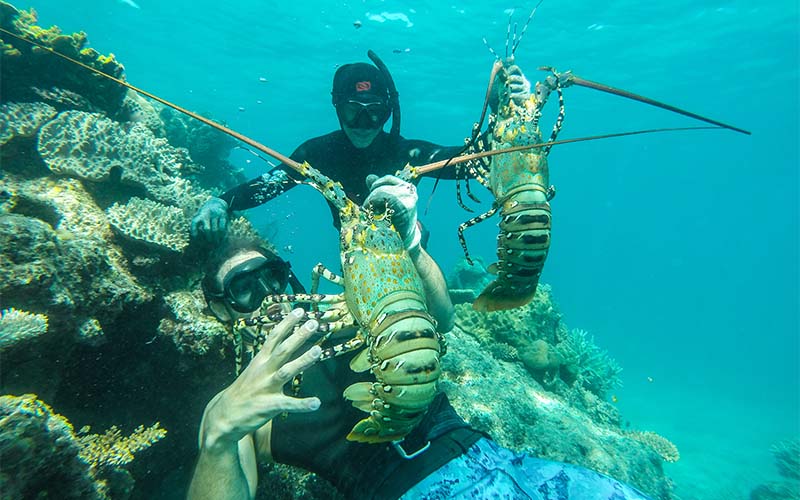 Snorkelling